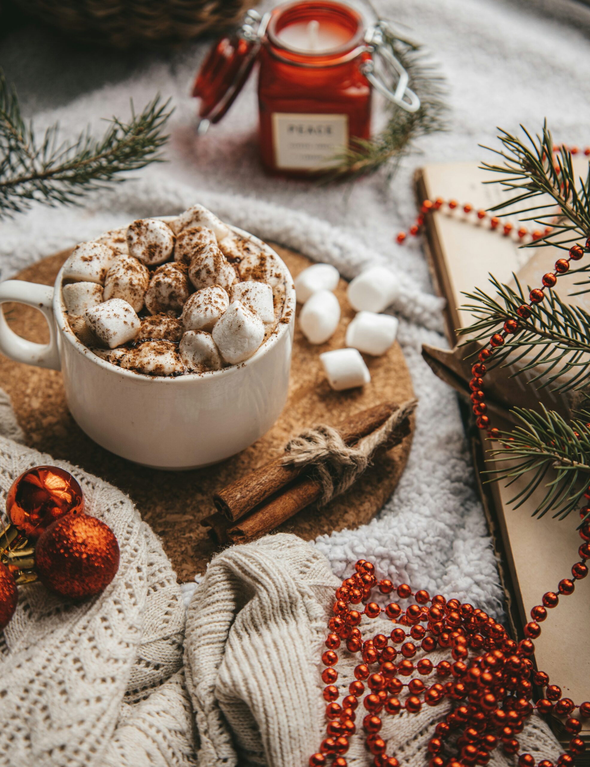 Cozy holiday scene